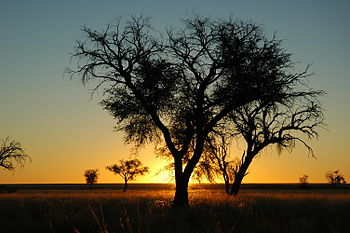 Namibie Namib Naukluft Park Sunset 02.JPG