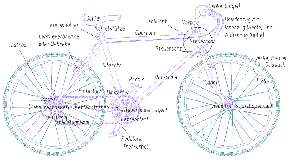 Fachbegriffe-fahrrad.png