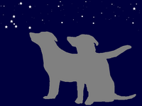 Dogs and stars.PNG
